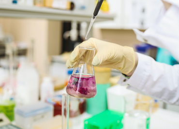 Chemical Industries