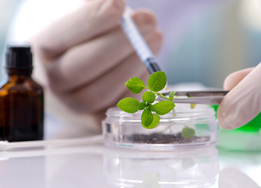 Biotechnology Industries